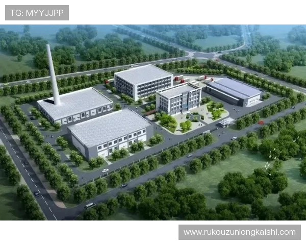 尊龙集团有限公司：构建绿色环保企业形象的战略举措